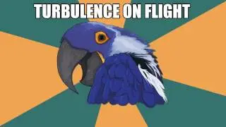 TURBULENCE - Paranoid Parrot