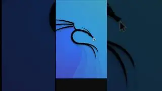 Install Kali Linux In Android without root 