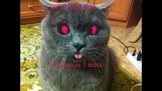 Пять ночей с Максом, 3  ночь! Почему  так сложно !!!!!!!