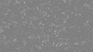Conway's Game of Life implementation using olc::PixelGameEngine (C++)