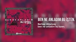 Berkay Altunyay - ben ne anladım bu işten. (Audio)