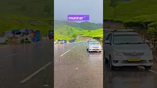 mansoon in munnar ☔ #munnar
