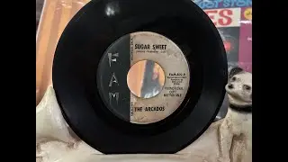 EARLY SOUL Rarity - ARCADOS on FAM with 