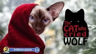 The Cat Who Cried Wolf