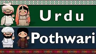 INDO-ARYAN: URDU & POTHWARI