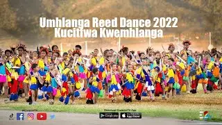 Umhlanga Reed Dance  || Kucitfwa Kwemhlanga || 04-09-2022