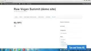 How to Use the WordPress Audio Player Plugin