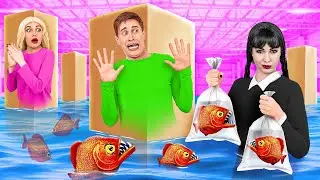 Extreme Hide and Seek Challenge with Wednesday Addams Multi DO Challenge