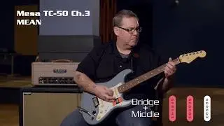 Fender American Pro Stratocaster | 60 sec clean | 60 sec mean | 60 sec review