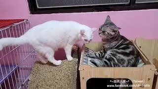 *~龍媽六寶~* 甜蜜畫面 之 結局嚇龍媽一跳篇