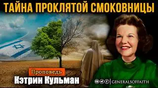 Кэтрин Кульман - 
