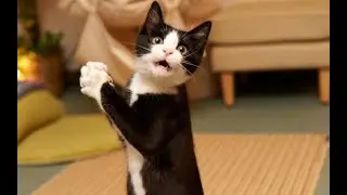 САМЫЙ ПРОДВИНУТЫЙ КОТ .КОТ СМОТРИТ МУЛЬТИКИ ПО ТЕЛИКУ