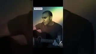 Wonderwall 