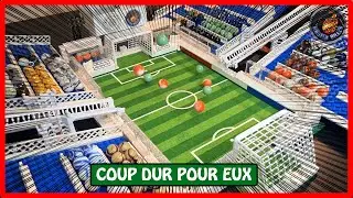 SAISON 3 - Journée 2 | Toujours pas de points ?