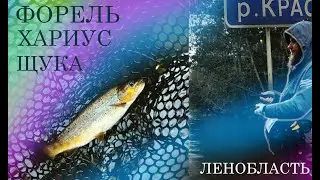 Дикая рыбалка на форель и хариуса . Такие рыбалки запоминаются на долго.