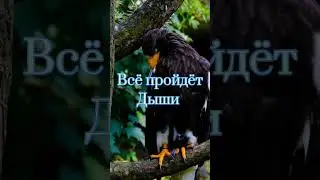 30 июня 2023 г.
