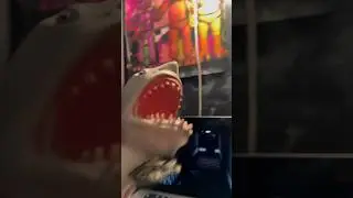 SHARK PUPPETS VS FOXY 