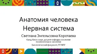 Анатомия человека (часть 6) | Открытый университет