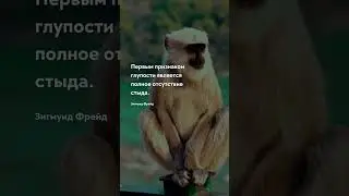 О жизни - Признаком глупости Цитата 