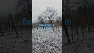 2 декабря 2023 г.