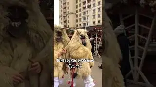 Венгерские ряженые #Бушары #манежка2020  #Бушояраш #bušara #Busójárás