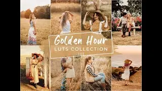 Golden Hour Video LUTs | Golden Video LUTs | Free Golden Hour LUTs | Best Golden Hour LUTs