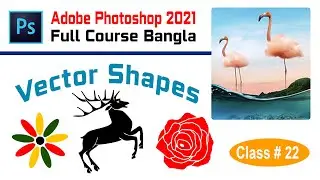 How to create vector shapes in photoshop | Adobe Photoshop for Beginners - Class 22