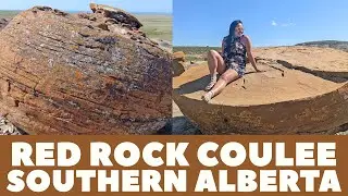 Explore Southern Alberta - Red Rock Coulee Natural Area - Medicine Hat - Ep. 39 - Lindork Does Life