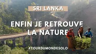Ella et les montagnes du centre du Sri Lanka - reconnexion avec la nature