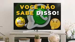 como compartilhar um contato dentro do WhatsApp