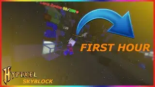 My FIRST TIME Playing Hypixel Skyblock