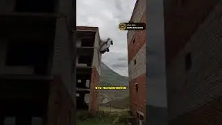 ТРЮК НА НИВЕ | 