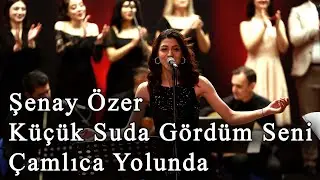 Şenay Özer - Küçük Suda Gördüm Seni / Çamlıca Yolunda