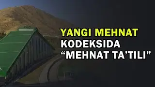 Янги Меҳнат кодексида 