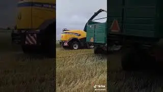 Заготавливайте зерносенаж! 