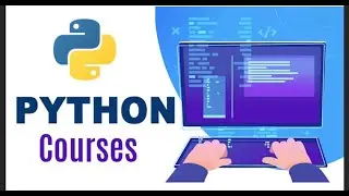 7 Best Python Course Of 2022 That Are Made For Beginners