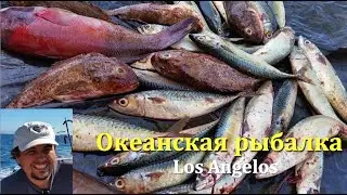 deep sea fishing LA  глубоководная рыбалка в тихом океане Лос Анжелес
