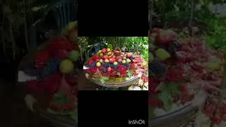 Не причиняйте никому боль