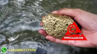 BARASHADA MACDANTA
