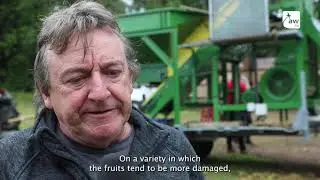Journées Européennes de la Châtaigne 2021 (part. 1) / 11th European Chestnut Days 2021