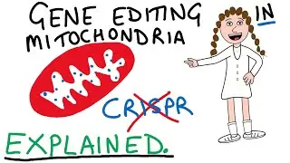 Gene editing the powerhouse of the cell