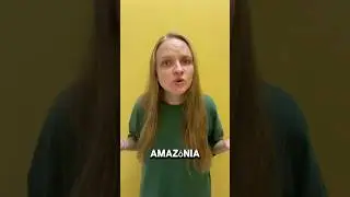 Amazônia é o pulmão do mundo?🌳