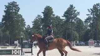 Novice stadium at Stableview