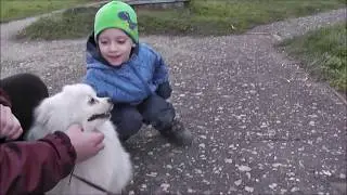 ТЕТЯ ЛЮДА КОРМИТ МУРКУ КАК У МИСС КЭТИ