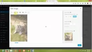 Insert Images Into WordPress Posts and Pages