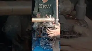 How to make a mouse Trap