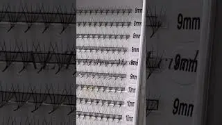 M curl | XL tray - Promade fans | Vietnam Lash Factory