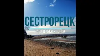 Сестрорецк. Парк Дубки (relax video)