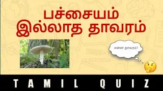 TNPSC QUESTION| TAMIL QUIZ| general knowledge general tamil