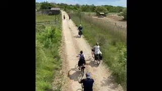 La Camargue à visiter en toute saison - l'automne